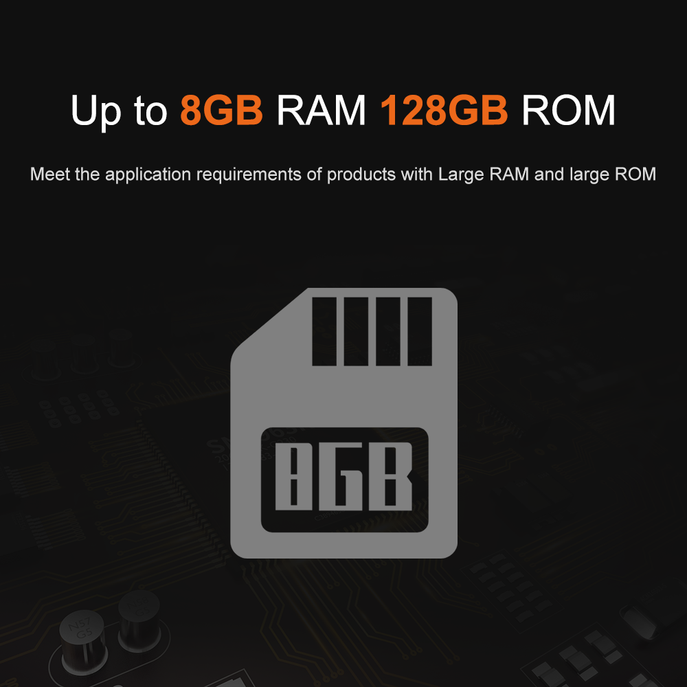Liontron RK3566 DDR4 8GB RAM A - Open Vending Machine 评论和价格